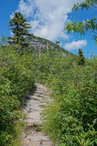 MacRae Peak from Grandfather Extension Trail