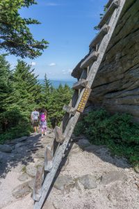 Ladder to MacRae Peak