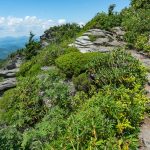 Grandfather Trail on MacRae Peak