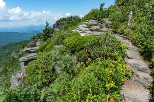 Grandfather Trail on MacRae Peak