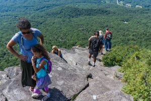 Top Ladder on MacRae Peak