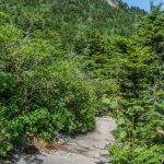 MacRae Peak from the Grandfather Trail