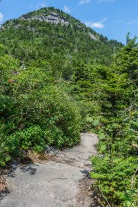 MacRae Peak from the Grandfather Trail