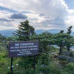 Sign and Dwarf Trees on Grandfather Mountain