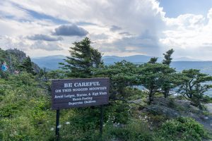 Sign and Dwarf Trees on Grandfather Mountain