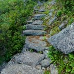 Rock Steps on the Mountains to Sea Trail