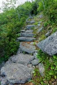 Rock Steps on the Mountains to Sea Trail