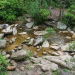 Upper Crossing of Upper Creek