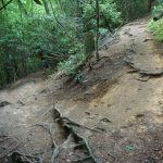 Upper Creek Falls Trail Switchback