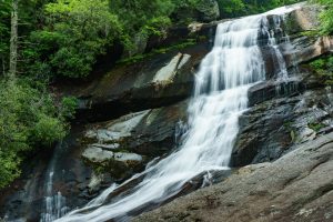 Pisgah National Forest: Upper Creek Area