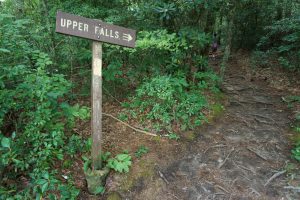 The Upper Falls Sign