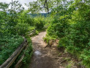 Graveyard Fiels Loop Trail Entering the Fields