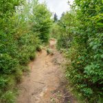 Graveyard Fields Loop Trail Erosion