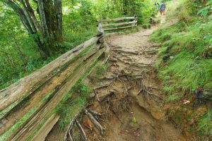 Fence in Graveyard Fields