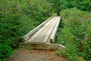 New Bridge over Yellowstone Prong