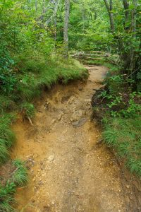 Graveyard Fields Loop Trail Erosion