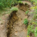 Extreme Erosion in Graveyard Fields