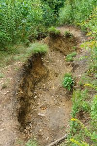 Extreme Erosion in Graveyard Fields