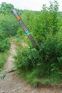 Upper Falls Trail Sign
