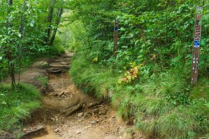 Erosion on the Graveyrd Fields Loop Trail