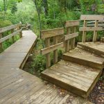 Graveyard Fields Loop Trail Structures