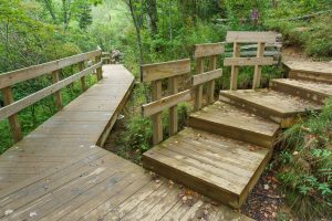 Graveyard Fields Loop Trail Structures