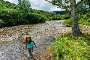 Frolicking in Yellowstone Prong