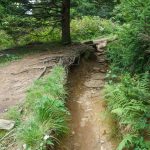 Erosion Gully on the Art Loeb Trail