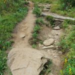 Erosion and Bypass on the Art Loeb Trail