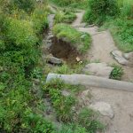 Erosion and Logs on the Art Loeb Trail