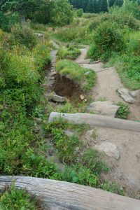 Erosion and Logs on the Art Loeb Trail