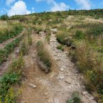 Multiple Eroded Paths on the Art Loeb Trail