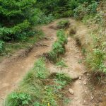 Eroded Art Loeb Trail