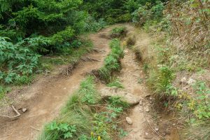 Eroded Art Loeb Trail