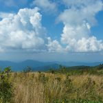 Dry Clouds over Dry Grass