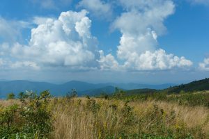 Dry Clouds over Dry Grass