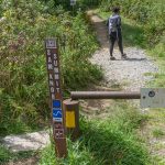 Sam Knob Summit Trail Start