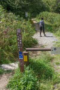 Sam Knob Summit Trail Start