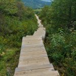 Boardwalk and Staircase on Sam Knob Summit Trail