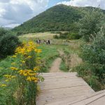 Sam Knob Meadows and Summit