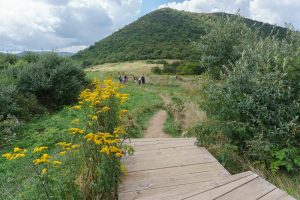 Sam Knob Meadows and Summit