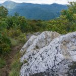 Quartz Outcrop on Sam Knob