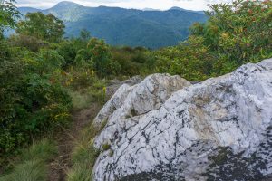 Quartz Outcrop on Sam Knob