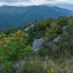 View from Sam Knob in Late Summer