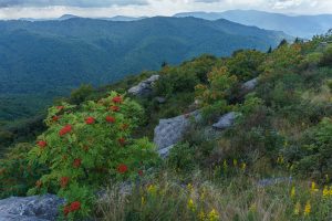 View from Sam Knob in Late Summer