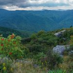 View from Sam Knob in Late Summer