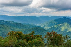 View from Sam Knob in Late Summer