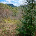 View of Devils Courthouse from the Trail