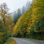 Fog and Fall Color on the Blue Ridge Parkway