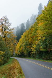 Fog and Fall Color on the Blue Ridge Parkway